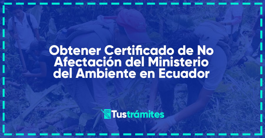¿Cómo obtener el Certificado de No Afectación del Ministerio del Ambiente en Ecuador?
